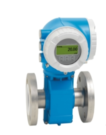 screenshot-1705376170436 ENDRESS+HAUSER Promag P 300