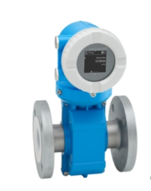 screenshot-1705485213474 ENDRESS+HAUSER Promag P 10