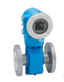 screenshot-1705485222727 ENDRESS+HAUSER Promag P 10