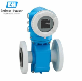 screenshot-1715072895092 Đồng hồ đo lưu lượng điện từ Endress+Hauser