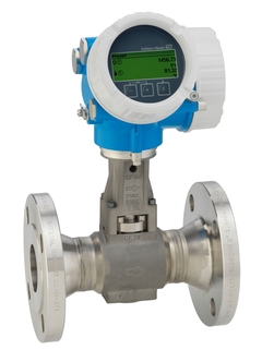vortex endress hauser