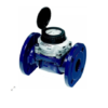 Đồng hồ nước lạnh Sensus DN80