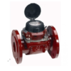 Đồng hồ nước nóng Sensus DN80